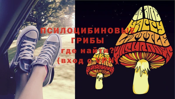 бутират Богданович