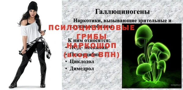 mdpv Богородск