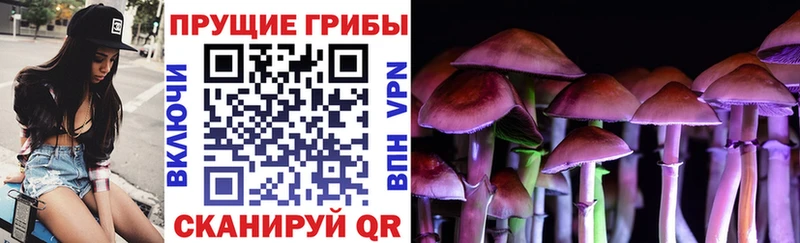 Псилоцибиновые грибы Magic Shrooms  Купить  Кириллов 